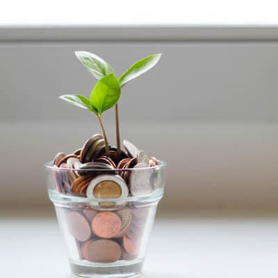Financial Advisory